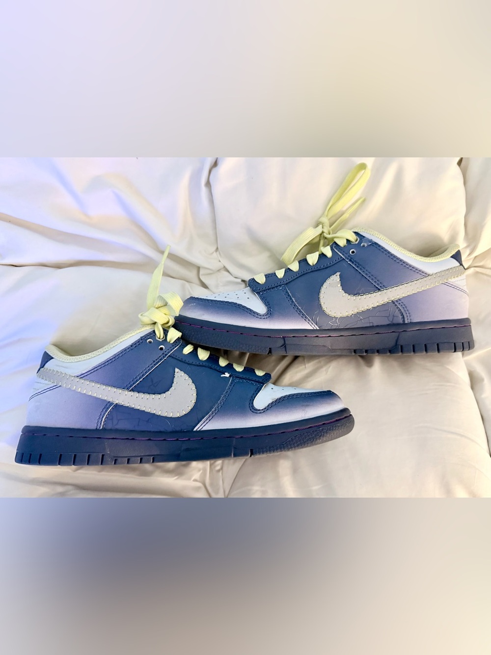 Nike low Dunks “I Am Fearless”